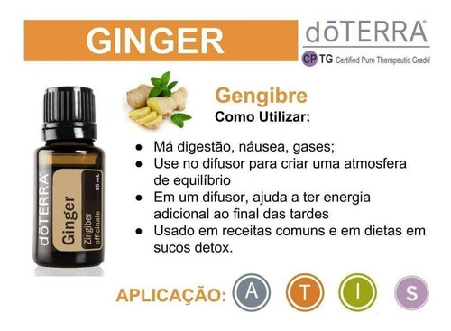 Ginger - DaCidadeShop
