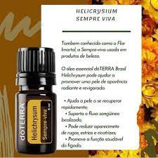 Helichrysum Óleo Essencial - DaCidadeShop