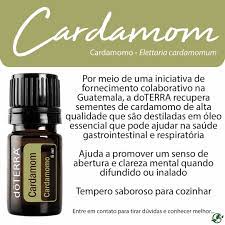 Cardamom - DaCidadeShop