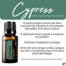 Cypress - DaCidadeShop