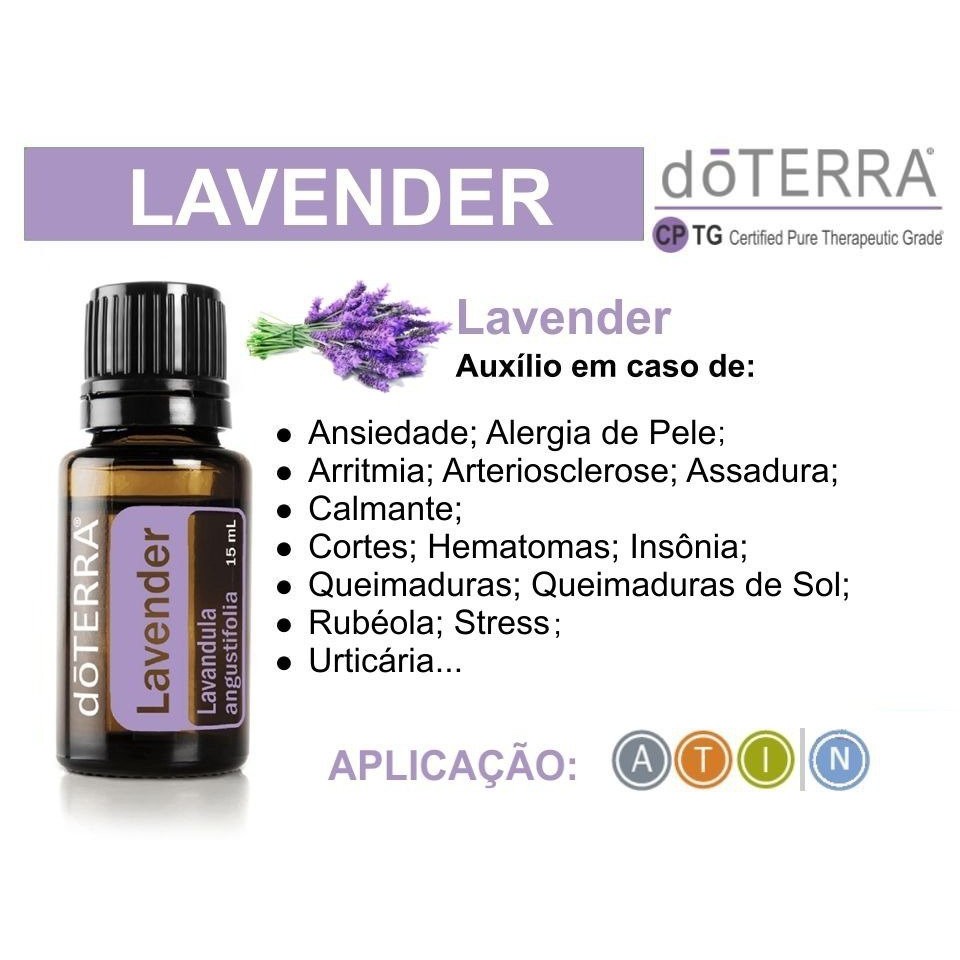 Lavender - DaCidadeShop