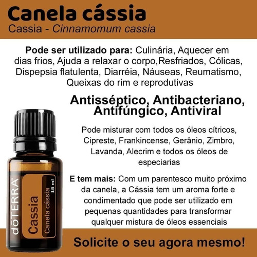 Cassia - DaCidadeShop