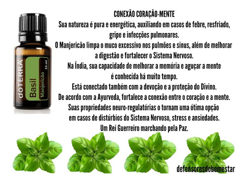Basil - DaCidadeShop