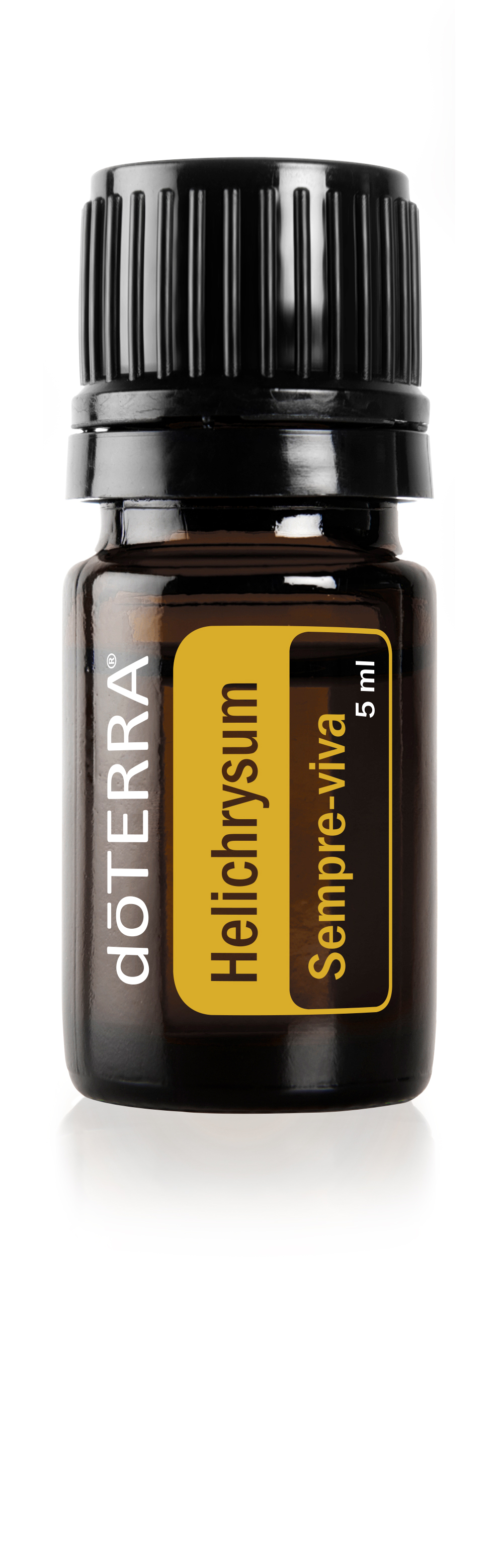 Helichrysum - DaCidadeShop