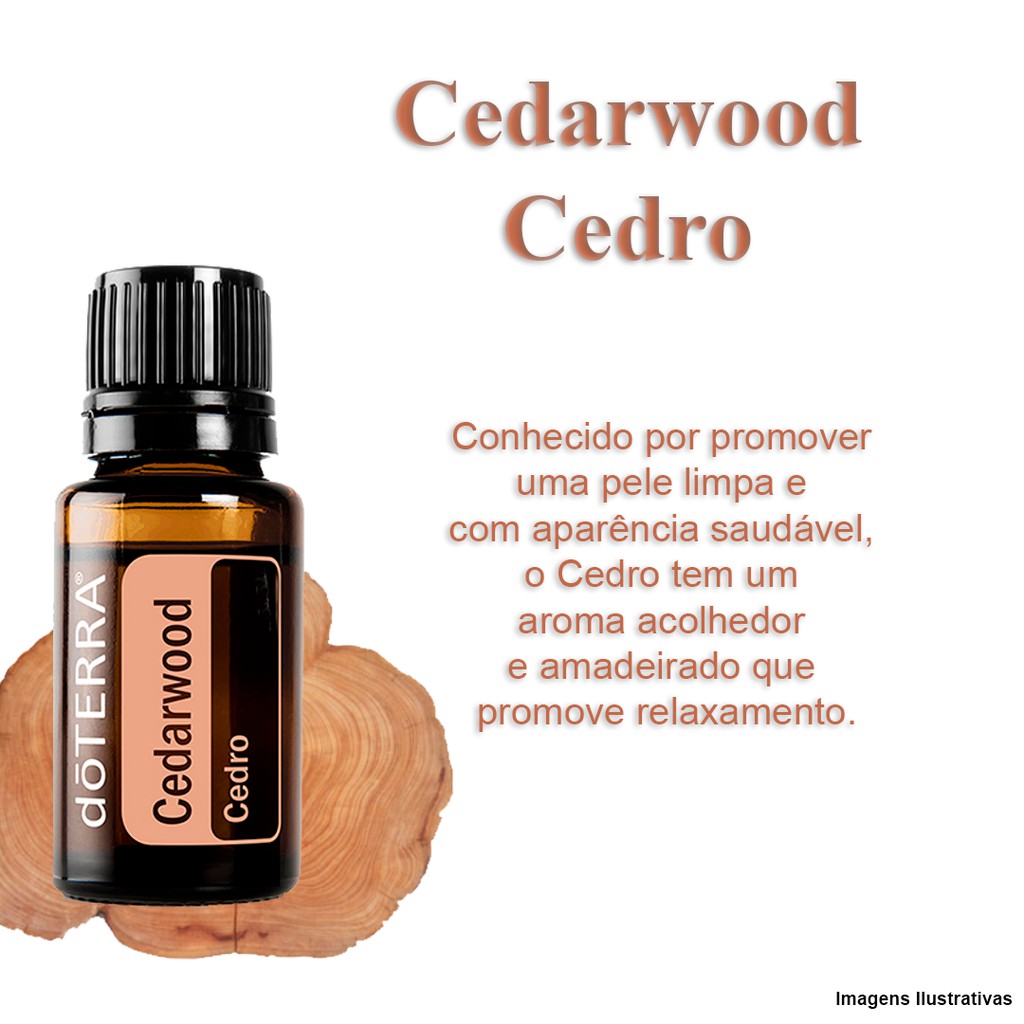 Cedarwood - DaCidadeShop