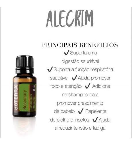 Alecrim 5 ml - DaCidadeShop