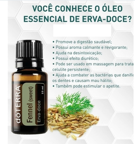 Fennel - DaCidadeShop