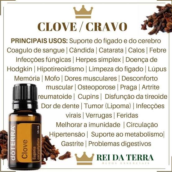 Clove  5 ml - DaCidadeShop