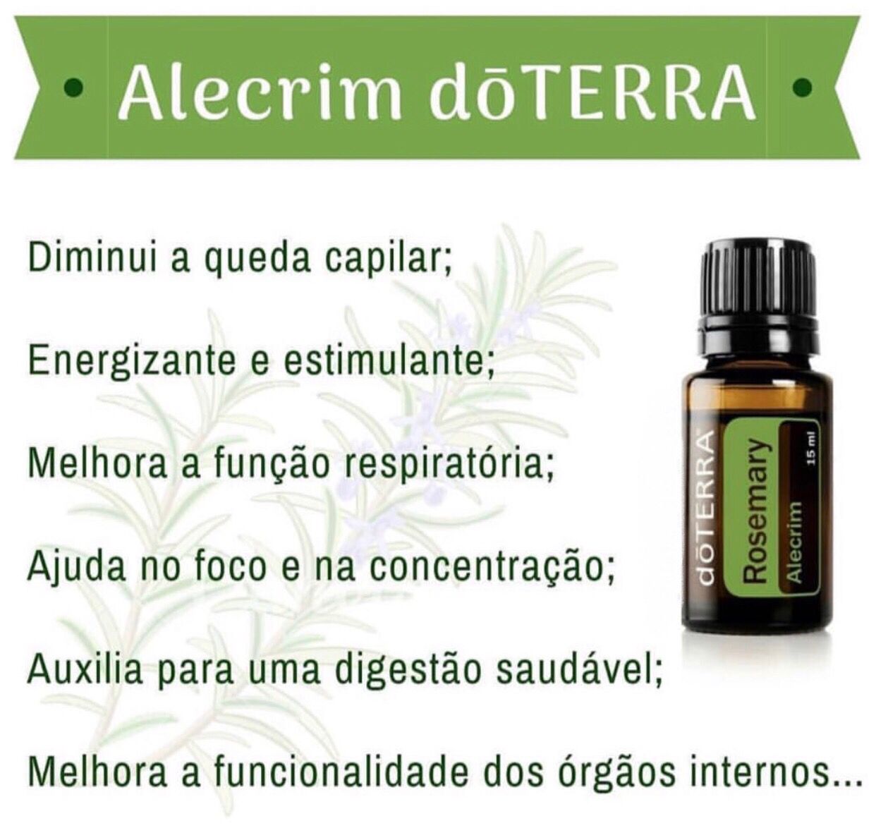 Rosemary Óleo Essencial - DaCidadeShop