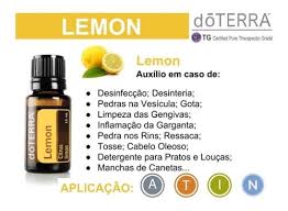 Lemon 15 ml - DaCidadeShop
